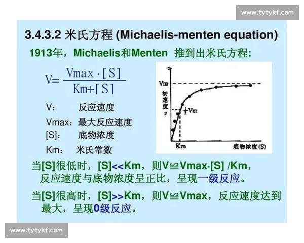 提升反应速度的科学方法与日常训练策略全解析